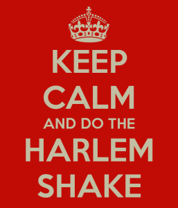 keep-calm-and-do-the-harlem-shake-17
